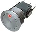 Schurter 1241.6633.1124000 Switch, Vandal Resistant, Spst, 5A, 250V