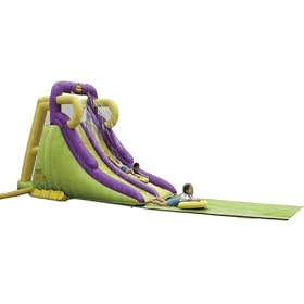 Duplay Inflatable Twin Water Slide Bouncy Castle