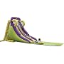 Duplay Inflatable Twin Water Slide Bouncy Castle