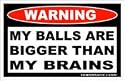 TnA Camo - Decal - Warning - My ball are bigger than my brains