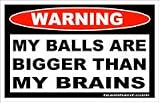 TnA Camo - Decal - Warning - My ball are bigger than my brains