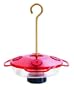 Droll Yankees Small Hummingbird Feeder