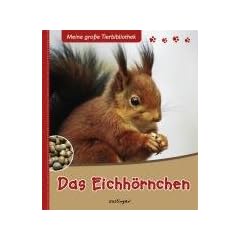Das Eichh�rnchen