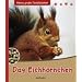 Das Eichh�rnchen