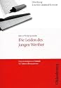 Johann Wolfgang Goethe. Die Leiden des jungen Werther (Unterrichtsmaterial)