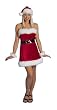 Christmas Gift Costume - Adult Std.