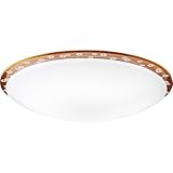 DAIKO ����d�@ �V�[�����O���C�g Kids 8-10���p DX-85797