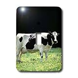 Farm Animals - Holstein Cow - Light Switch Covers - single toggle switch