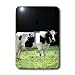 Farm Animals - Holstein Cow - Light Switch Covers - single toggle switch