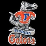 College Team Logo Pin - Florida Gators