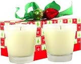 Archipelago Botanicals Joy of the Season - Set of Two Soy Wax Candles