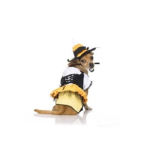 Cute And Matching Kandy Korn Witch Puppypet Dog Cat Costume Leg Avenue by Fenvy