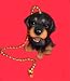 Doberman Pinscher Puppy Ceiling Fan Pull Chain Decor
