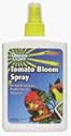 Green Light Organic Neem II - 24 oz Spray #07824