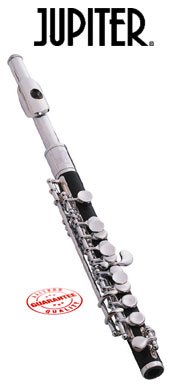 Jupiter ABS Body Piccolo 303S
