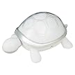 i-Turtle