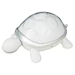 i-Turtle