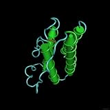 Leptin Molecule Worm Ver. Human Obesity Protein Photographic Poster Print, 16x16