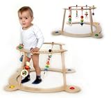 Produkt-Bild: Babyspiel- und Lauflernger&auml;t Henry und Co.