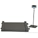 Salter Brecknell DS1000 Floor Scale with LED Display, 1000 lbs Capacity, 31-1/2" Length x 31-1/2" Width x 1-51/64" Height