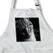 Beverly Turner Cat Photography - Blue eyed Kitty - Aprons