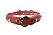 Rhinestones Bling Leather Dog Collar, Padded, Double-Ply,  Riveted Settings, 22