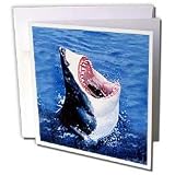 Sharks - Great White Shark - Greeting Cards-6 Greeting Cards with envelopes