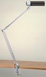 Desk Lamps Lite Source LS-3010