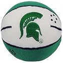 Michgian State Spartans NCAA Basketball Smasher