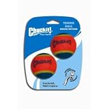 Chuckit! Tennis Ball Medium 2.5-inch, 2 pack