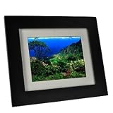 Pandigital Pan Touch PAN8002W02T 8-Inch Digital Picture Frame (Factory Refurbished) - Black