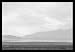 Dust Storm over the Manzanar Relocation Camp 12x18 Giclee on canvas - Photos - 19618-1CG12
