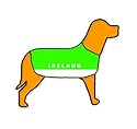 Ireland Personalised Waterproof Dog Coat Size L (22" 55cm)