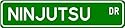 Ninjutsu Street Sign ~ Martial Arts Gift ~ Aluminum