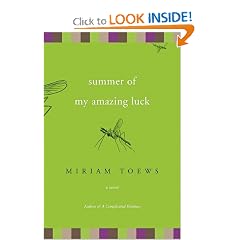 Summer of My Amazing Luck: A Novel