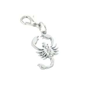 Charm scorpion in steel by Charming Charms