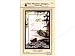 Search : Pine Meadows Designs First Light Pattern