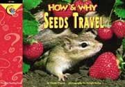 Seeds Travel