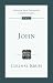 Books : John: An Introduction and Commentary (Tyndale New Testament Commentaries)