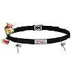FuelBelt Gel-Ready Race Number Belt