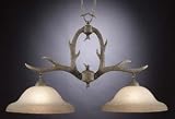 Buckhorn 2 Light Hanging Fixture