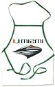 Miami FLA Hurricanes Apron
