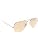 Brown Frame/Brown Solid Lens