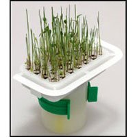 Sprout Pot for Birds by VITAKRAFT/SUN SEED, INC