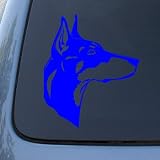 DOBERMAN HEAD - Dog - Vinyl Car Decal Sticker #1507 | Vinyl Color: Blue