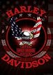 Licensed Harley Davidson Patriotic Eagle Estate Banner Flag 30" X 43"
