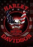 Licensed Harley Davidson Patriotic Eagle Estate Banner Flag 30 X 43