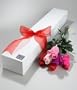 Hanky Panky Long Stem Lovin' Low Rise Thong Bouquet - 1/2 Dozen Roses, One Size, Assorted Pinks