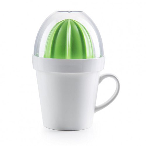 5-Piece set Cactus Style Citrus Juicer with Porcelain Mug for Easy Juicing of Limes, Lemons, Oranges, Porcelain