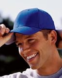 Flexfit Brushed 6-Panel Cap